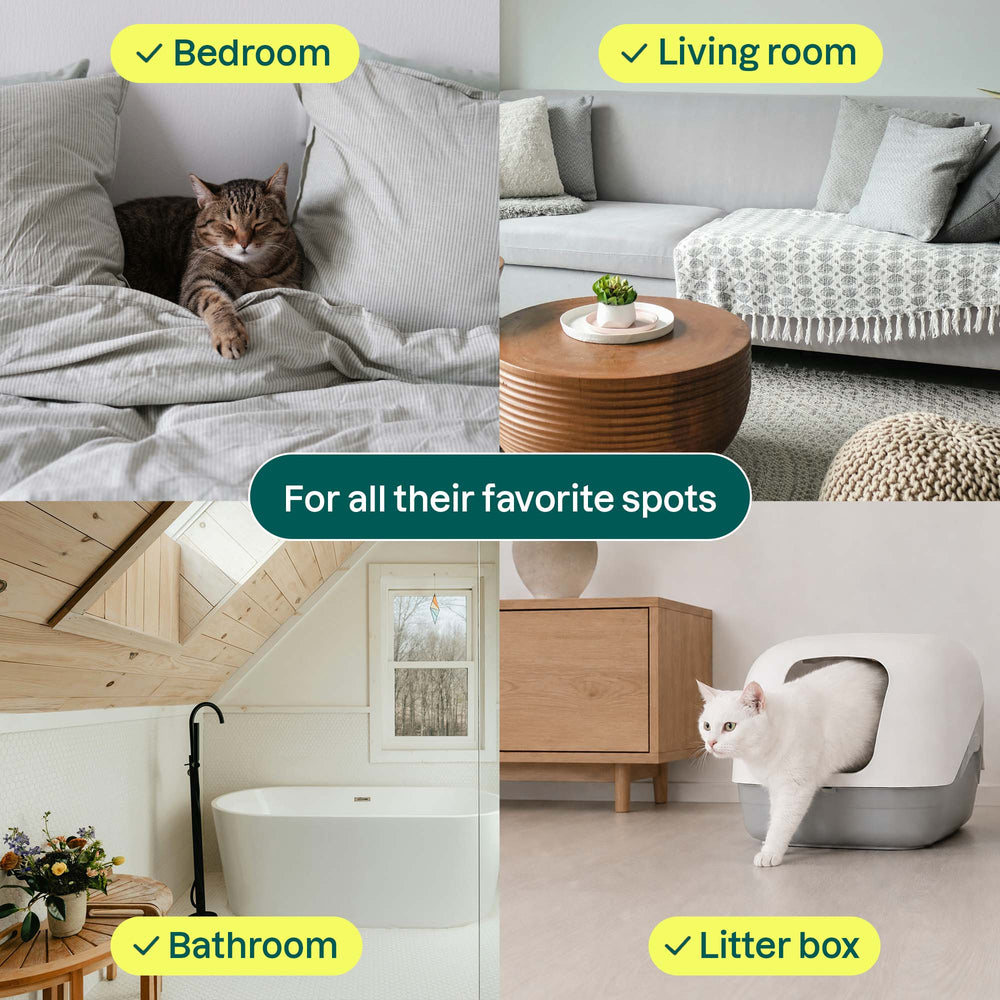 Pet Air Purifier - Image 5